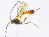  ( - CBG-A08783-B08)  @11 [ ] CreativeCommons - Attribution Share - Alike (2023) CBG Photography Group Centre for Biodiversity Genomics