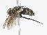  ( - CBG-A13201-E05)  @11 [ ] CreativeCommons - Attribution Share - Alike (2023) CBG Photography Group Centre for Biodiversity Genomics