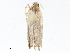  ( - CBG-A13201-G11)  @11 [ ] CreativeCommons - Attribution Share - Alike (2023) CBG Photography Group Centre for Biodiversity Genomics
