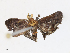 ( - CBG-A13202-A03)  @11 [ ] CreativeCommons - Attribution Share - Alike (2023) CBG Photography Group Centre for Biodiversity Genomics