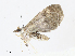  ( - CBG-A13202-A11)  @11 [ ] CreativeCommons - Attribution Share - Alike (2023) CBG Photography Group Centre for Biodiversity Genomics