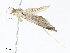  ( - CBG-A04527-C09)  @11 [ ] CreativeCommons - Attribution Share - Alike (2023) CBG Photography Group Centre for Biodiversity Genomics