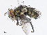  ( - CBG-A04527-E02)  @11 [ ] CreativeCommons - Attribution Share - Alike (2023) CBG Photography Group Centre for Biodiversity Genomics