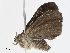  ( - CBG-A04528-D02)  @11 [ ] CreativeCommons - Attribution Share - Alike (2023) CBG Photography Group Centre for Biodiversity Genomics