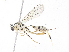  ( - CBG-A13219-H07)  @11 [ ] CreativeCommons - Attribution Share - Alike (2023) CBG Photography Group Centre for Biodiversity Genomics