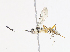  ( - CBG-A13220-G02)  @11 [ ] CreativeCommons - Attribution Share - Alike (2023) CBG Photography Group Centre for Biodiversity Genomics