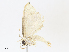  ( - CBG-A13221-E09)  @11 [ ] CreativeCommons - Attribution Share - Alike (2023) CBG Photography Group Centre for Biodiversity Genomics