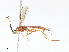  ( - CBG-A13221-G12)  @11 [ ] CreativeCommons - Attribution Share - Alike (2023) CBG Photography Group Centre for Biodiversity Genomics
