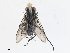  ( - CBG-A13222-A01)  @11 [ ] CreativeCommons - Attribution Share - Alike (2023) CBG Photography Group Centre for Biodiversity Genomics