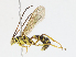  ( - CBG-A13222-D05)  @11 [ ] CreativeCommons - Attribution Share - Alike (2023) CBG Photography Group Centre for Biodiversity Genomics
