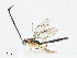  ( - CBG-A13222-D08)  @11 [ ] CreativeCommons - Attribution Share - Alike (2023) CBG Photography Group Centre for Biodiversity Genomics