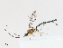  ( - CBG-A13222-F02)  @11 [ ] CreativeCommons - Attribution Share - Alike (2023) CBG Photography Group Centre for Biodiversity Genomics