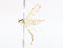  ( - CBG-A13223-G01)  @11 [ ] CreativeCommons - Attribution Share - Alike (2023) CBG Photography Group Centre for Biodiversity Genomics