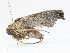  ( - CBG-A13223-G05)  @11 [ ] CreativeCommons - Attribution Share - Alike (2023) CBG Photography Group Centre for Biodiversity Genomics