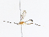  ( - CBG-A13224-A01)  @11 [ ] CreativeCommons - Attribution Share - Alike (2023) CBG Photography Group Centre for Biodiversity Genomics