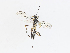  ( - CBG-A13224-A02)  @11 [ ] CreativeCommons - Attribution Share - Alike (2023) CBG Photography Group Centre for Biodiversity Genomics