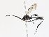  ( - CBG-A13224-A05)  @11 [ ] CreativeCommons - Attribution Share - Alike (2023) CBG Photography Group Centre for Biodiversity Genomics