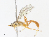  ( - CBG-A13224-A12)  @11 [ ] CreativeCommons - Attribution Share - Alike (2023) CBG Photography Group Centre for Biodiversity Genomics