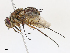  ( - CBG-A13224-B05)  @11 [ ] CreativeCommons - Attribution Share - Alike (2023) CBG Photography Group Centre for Biodiversity Genomics