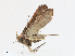  ( - CBG-A13321-C02)  @11 [ ] CreativeCommons - Attribution Share - Alike (2023) CBG Photography Group Centre for Biodiversity Genomics
