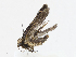  ( - CBG-A13321-C06)  @11 [ ] CreativeCommons - Attribution Share - Alike (2023) CBG Photography Group Centre for Biodiversity Genomics
