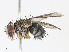  ( - CBG-A13322-A09)  @11 [ ] CreativeCommons - Attribution Share - Alike (2023) CBG Photography Group Centre for Biodiversity Genomics