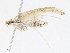  ( - CBG-A13322-B04)  @11 [ ] CreativeCommons - Attribution Share - Alike (2023) CBG Photography Group Centre for Biodiversity Genomics