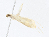  ( - CBG-A13322-B11)  @11 [ ] CreativeCommons - Attribution Share - Alike (2023) CBG Photography Group Centre for Biodiversity Genomics