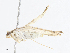  ( - CBG-A13322-B12)  @11 [ ] CreativeCommons - Attribution Share - Alike (2023) CBG Photography Group Centre for Biodiversity Genomics