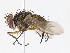  ( - CBG-A13323-C06)  @11 [ ] CreativeCommons - Attribution Share - Alike (2023) CBG Photography Group Centre for Biodiversity Genomics