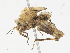  ( - CBG-A14965-F07)  @11 [ ] CreativeCommons - Attribution Share - Alike (2023) CBG Photography Group Centre for Biodiversity Genomics