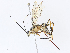  ( - CBG-A14966-B12)  @11 [ ] CreativeCommons - Attribution Share-Alike (2023) CBG Photography Group Centre for Biodiversity Genomics