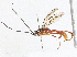  ( - CBG-A04569-A01)  @11 [ ] CreativeCommons - Attribution (2023) CBG Photography Group Centre for Biodiversity Genomics