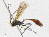 ( - CBG-A04569-B08)  @11 [ ] CreativeCommons - Attribution (2023) CBG Photography Group Centre for Biodiversity Genomics