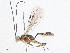  ( - CBG-A04569-E01)  @11 [ ] CreativeCommons - Attribution (2023) CBG Photography Group Centre for Biodiversity Genomics