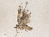 ( - CBG-A04584-F06)  @11 [ ] CreativeCommons - Attribution (2023) CBG Photography Group Centre for Biodiversity Genomics