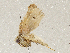  ( - CBG-A04584-F11)  @11 [ ] CreativeCommons - Attribution (2023) CBG Photography Group Centre for Biodiversity Genomics