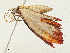  ( - CBG-A04584-H02)  @11 [ ] CreativeCommons - Attribution (2023) CBG Photography Group Centre for Biodiversity Genomics