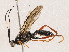  ( - CBG-A04585-C07)  @11 [ ] CreativeCommons - Attribution (2023) CBG Photography Group Centre for Biodiversity Genomics