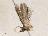  ( - CBG-A04585-F05)  @11 [ ] CreativeCommons - Attribution (2023) CBG Photography Group Centre for Biodiversity Genomics