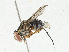  ( - CBG-A04585-H10)  @11 [ ] CreativeCommons - Attribution (2023) CBG Photography Group Centre for Biodiversity Genomics