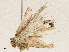  ( - CBG-A05366-G07)  @11 [ ] CreativeCommons - Attribution (2023) CBG Photography Group Centre for Biodiversity Genomics