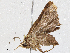  ( - CBG-A05409-A08)  @11 [ ] CreativeCommons - Attribution (2023) CBG Photography Group Centre for Biodiversity Genomics