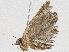  ( - CBG-A05409-A09)  @11 [ ] CreativeCommons - Attribution (2023) CBG Photography Group Centre for Biodiversity Genomics