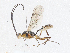  ( - CBG-A05410-C02)  @11 [ ] CreativeCommons - Attribution (2023) CBG Photography Group Centre for Biodiversity Genomics