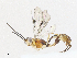  ( - CBG-A05411-E03)  @11 [ ] CreativeCommons - Attribution (2023) CBG Photography Group Centre for Biodiversity Genomics