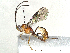  ( - CBG-A05411-E07)  @11 [ ] CreativeCommons - Attribution (2023) CBG Photography Group Centre for Biodiversity Genomics