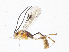  ( - CBG-A05412-C09)  @11 [ ] CreativeCommons - Attribution (2023) CBG Photography Group Centre for Biodiversity Genomics