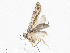  ( - CBG-A05413-A01)  @11 [ ] CreativeCommons - Attribution Share-Alike (2023) CBG Photography Group Centre for Biodiversity Genomics