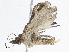  ( - CBG-A05438-D11)  @11 [ ] CreativeCommons - Attribution (2023) CBG Photography Group Centre for Biodiversity Genomics